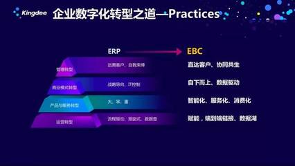 徐少春:从ERP到EBC--企业数字化转型之道
